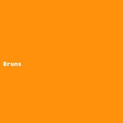 Hersteller: Bruns