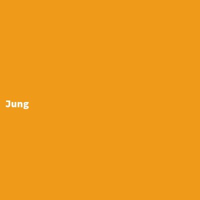 Hersteller: Jung