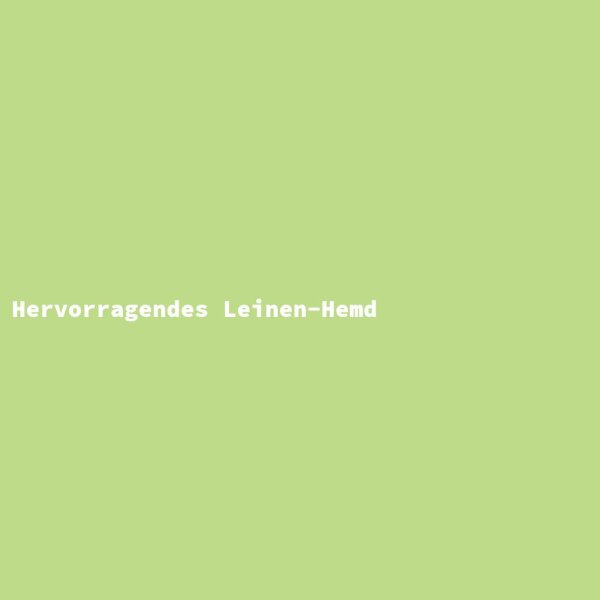 Hervorragendes Leinen-Hemd