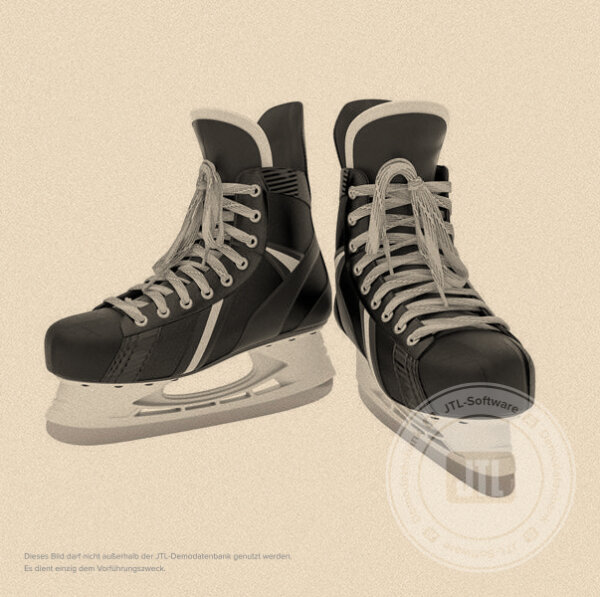 Herren-Schlittschuhe 42/43