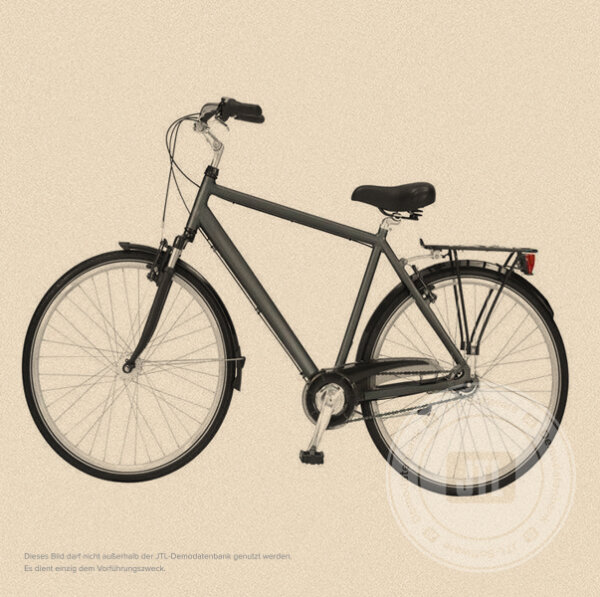 Herren-Trekkingrad 60 cm