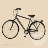 Herren-Trekkingrad 52 cm