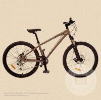 Damen-Mountainbike 52 cm