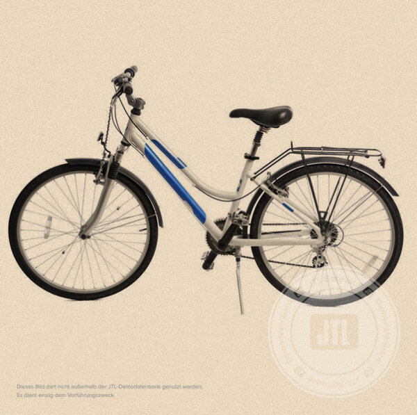 Damen-Trekkingrad 52 cm