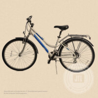 Damen-Trekkingrad 44 cm