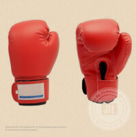 Boxhandschuhe 12